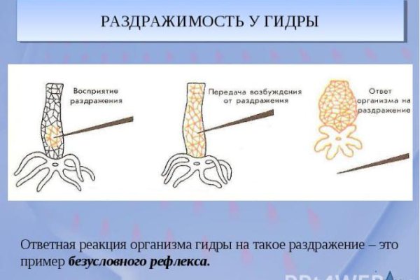 Сайт кракен гидра