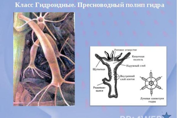 Как попасть на кракен с айфона